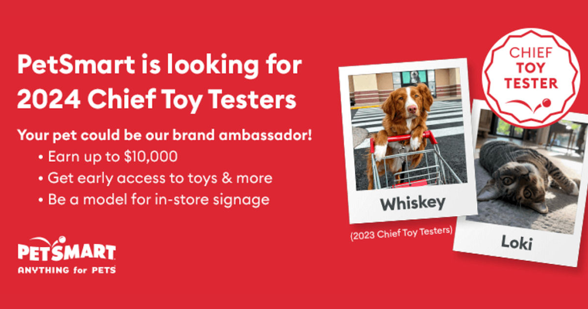 PetSmart Chief Toy Tester