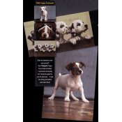 Pedigree Puppy Care Pack