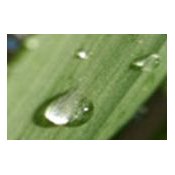 Malibu Wellness Water Test Strip