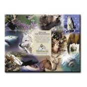 Wild Life Gifts Calendar