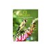 Handbook of Garden Feeding