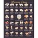 Cheese Variety Guide