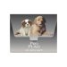 Purina Puppy Starter Kit