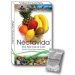 Nectavida Liquid Supplement