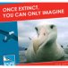 Save the Albatross Pin Badge