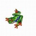 Spiral Frog