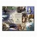 Wild Life Gifts Calendar