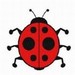 Embroidery Designs