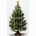 HP Holiday Tree