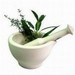 Rosemary & Thyme