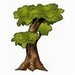 Arbor Day Foundation Resouces for Educators