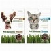 Pet Greens Treats