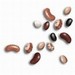 Ontario Beans