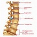 MRI Review