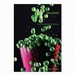 Peas Recipe Booklet