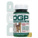 Dog Gone Pain Chewable Tablets