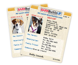 Bark Buckle UP Pet Safety Kit