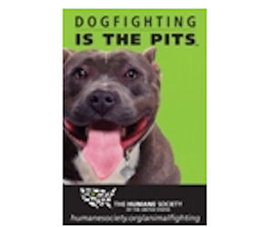 Dogfighting Reward Posters