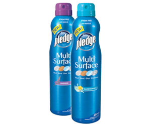 Pledge Multi Surface