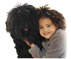 Safety Around Dogs