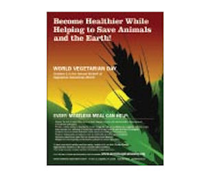 Vegetarian Information Posters