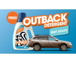 Subaru Outback Detergent