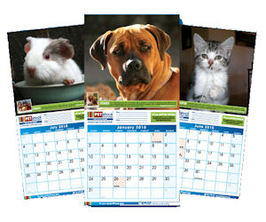 PetStock