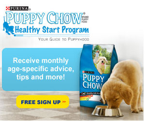 Purina Puppy Chow