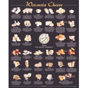 Cheese Variety Guide