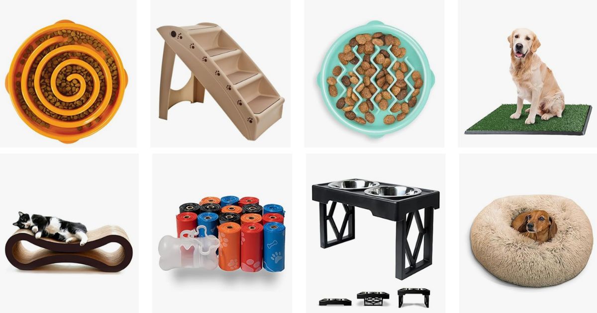 Pet Furniture and Supplies