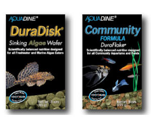 aquadine saltwater