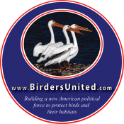 Birders United Stickers