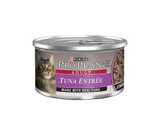 small town savers free purina cat food can medina fletcher lithopolis ohio