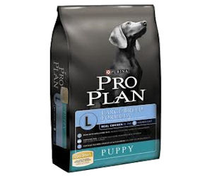 Purina - Coupon For $3 Off Pro Plan Dry Dog Food