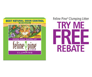 Feline Pine