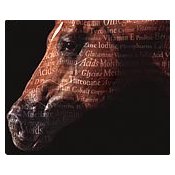 Equine Nutritional CD