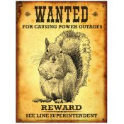 Wanted Squirrel Rauckman Utility Poster