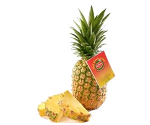 Del Monte