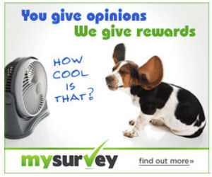 MySurvey