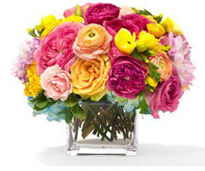 Bloomnation coupon code