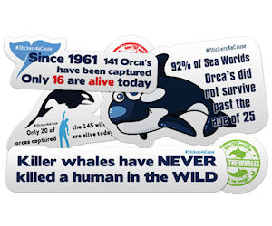 Orca Whale Stickers