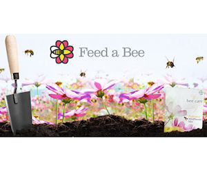 Feed a Bee