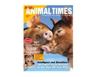 Animal Times