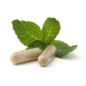 Herbal Remedy Conversion Chart
