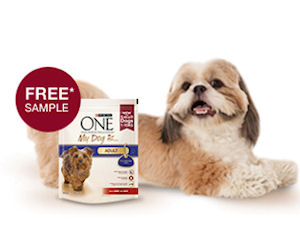 Free Dog Treats Samples Australia Free Dog Treats Samples Australia