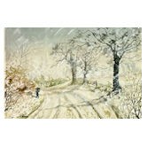 Butterfly Cards