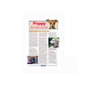 Puppy Buyers Guide
