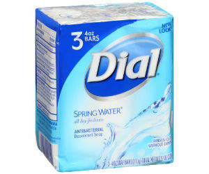Dial Bar Soap at Publix