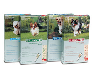 Advantage Multi Canine Coupon Code