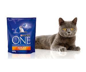 Purina One Adult